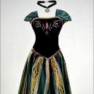 Big-On-Sale Ladies Princess Elsa Coronation Dress Costume Sz L. NWOT.